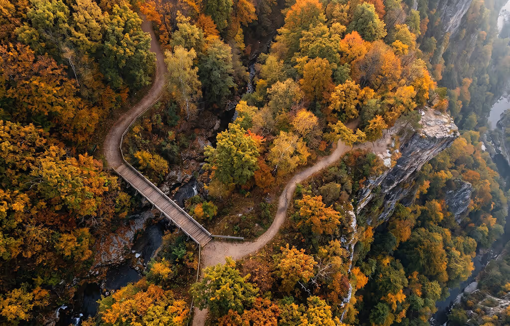 Aerial view of a winding wooden boardwalk through a colourful autumn forest along a cliff edge