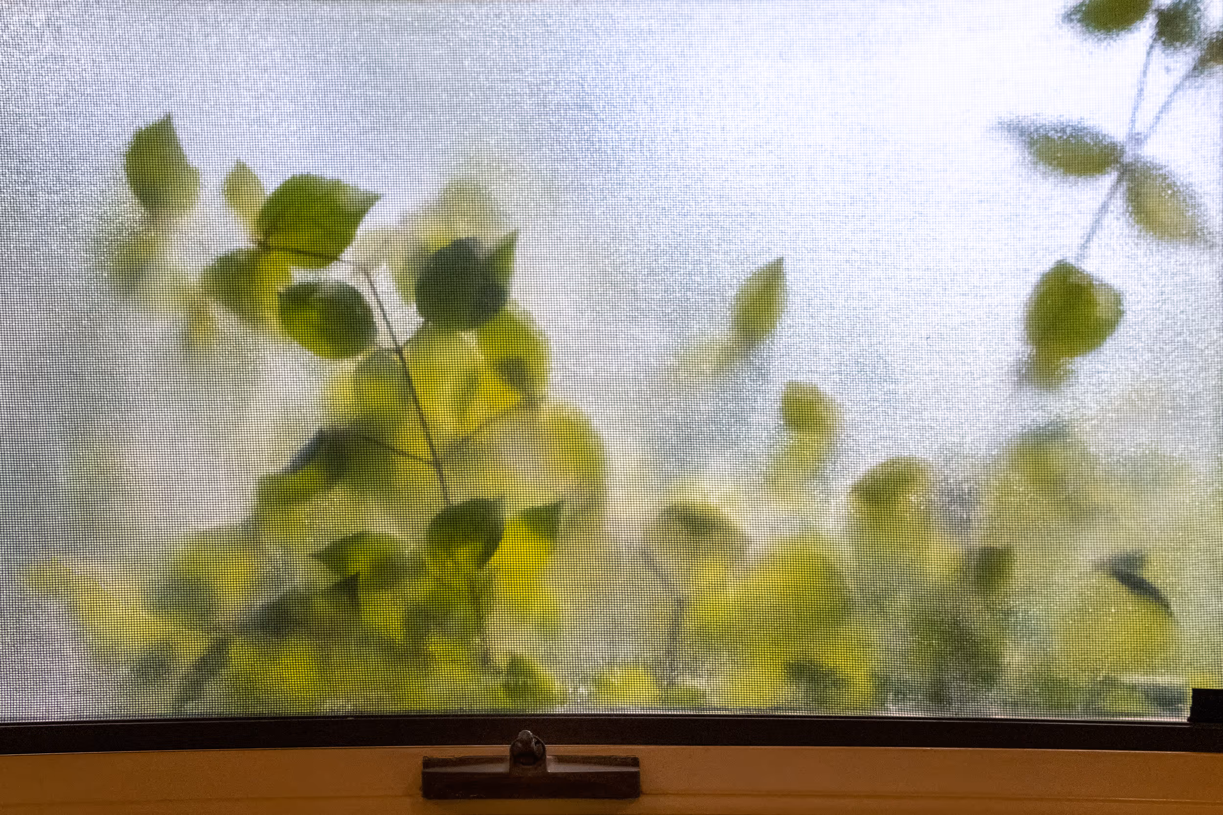 Blue Car on the Highway