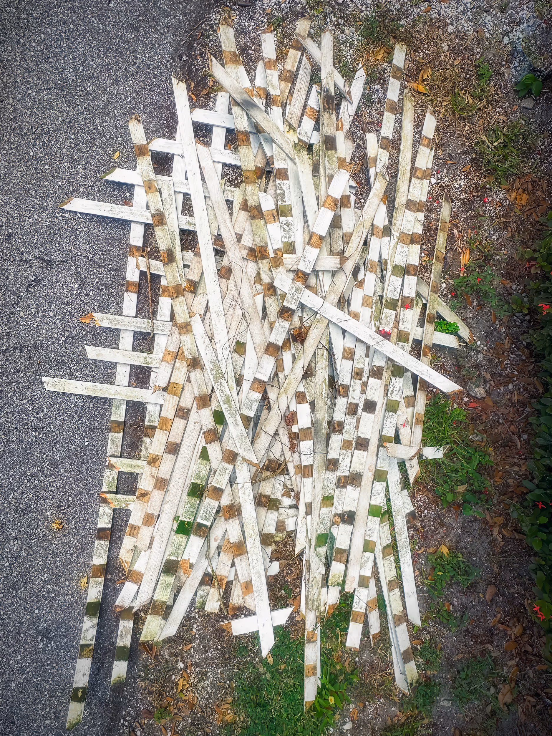 Yelllow Wrecked Car, NYC