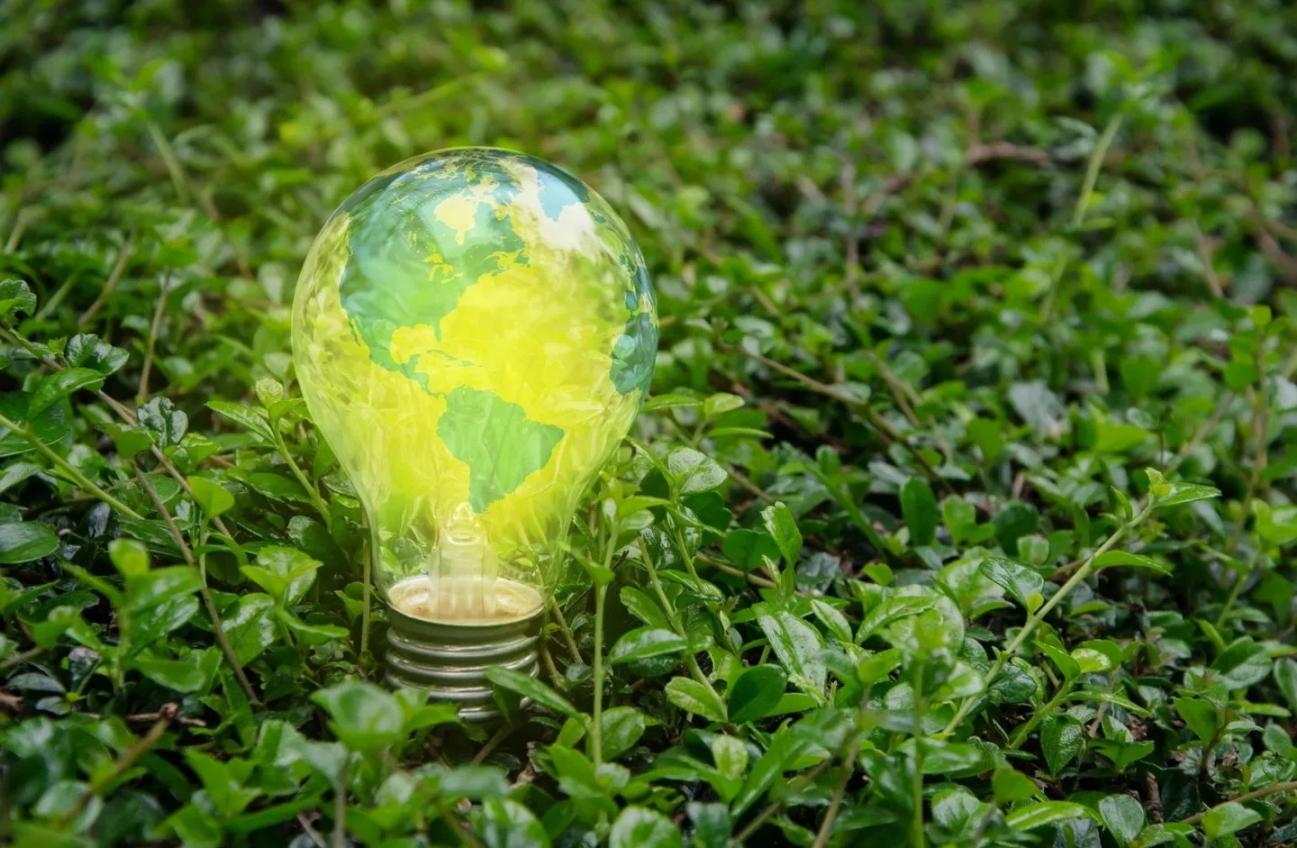 A green lightbulb with a globe / map of North America sitting in a green field.