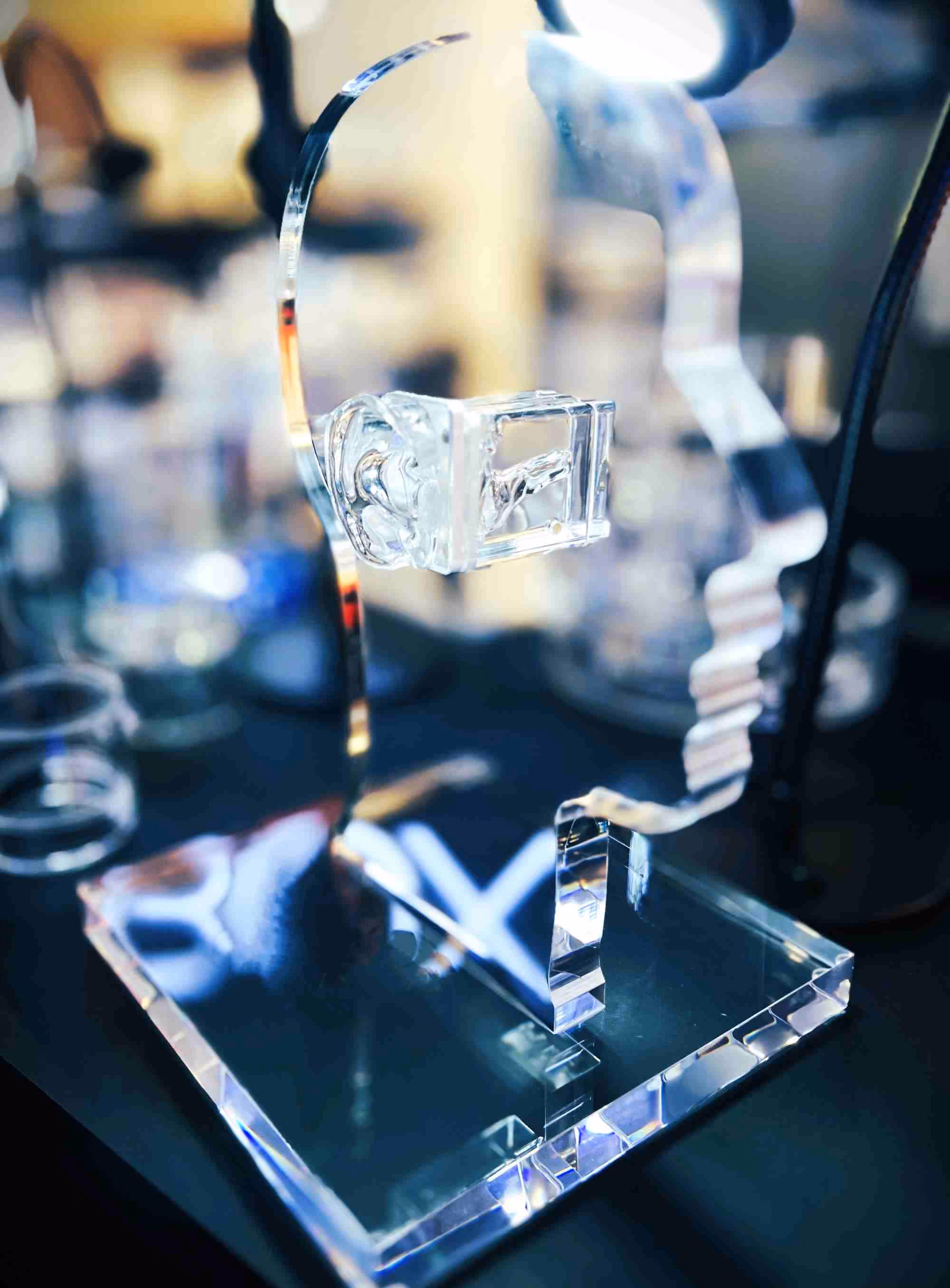 Custom acrylic hearing aid audio display of a clear acrylic head
