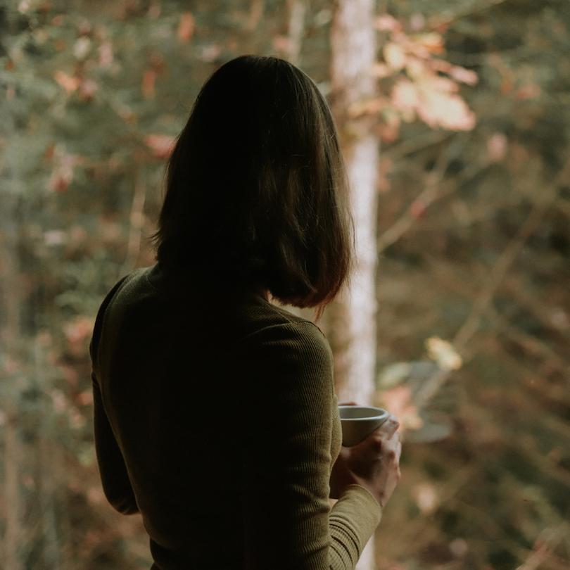 A person looking at a forest