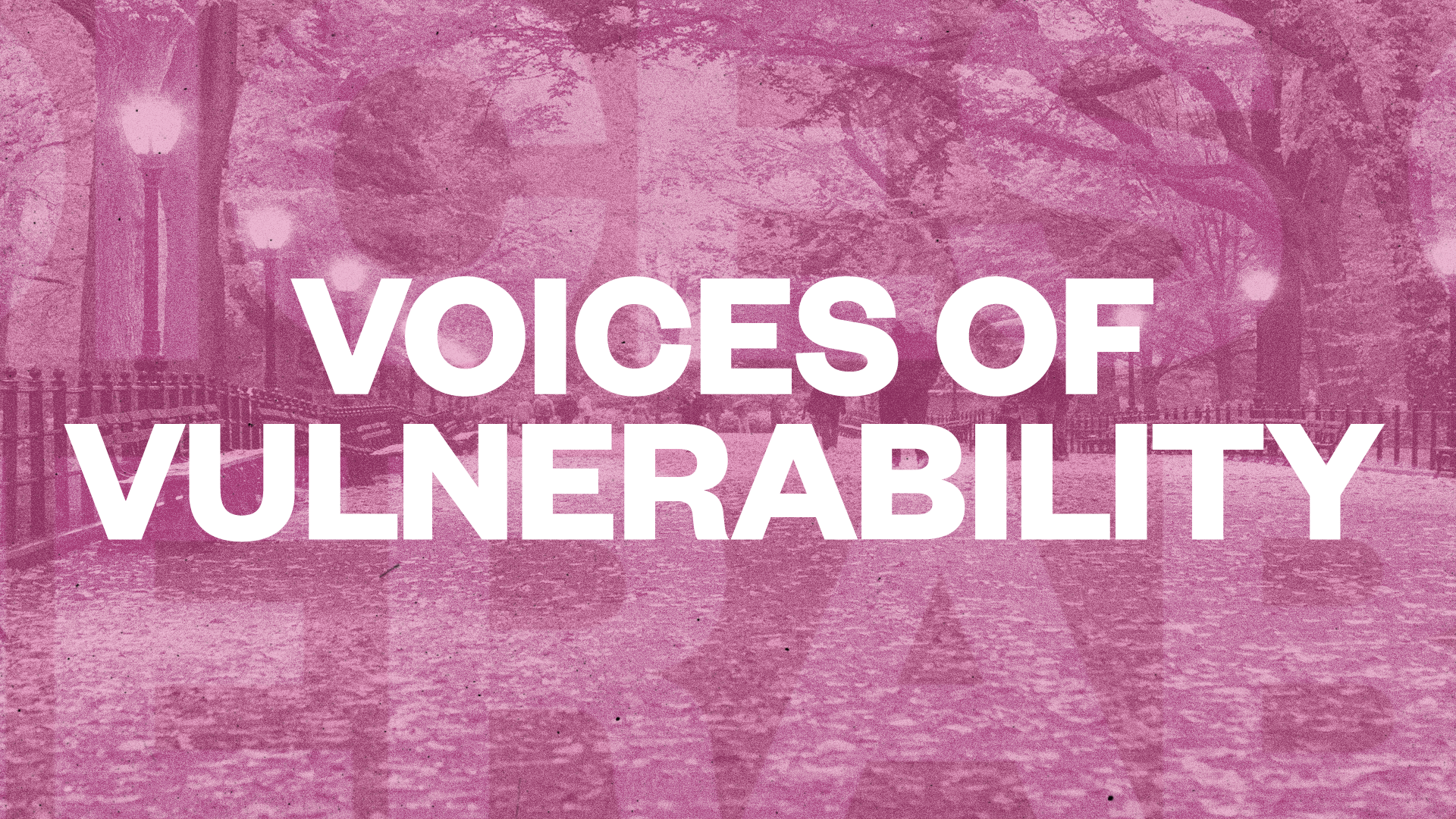 Voices of Vulnerability