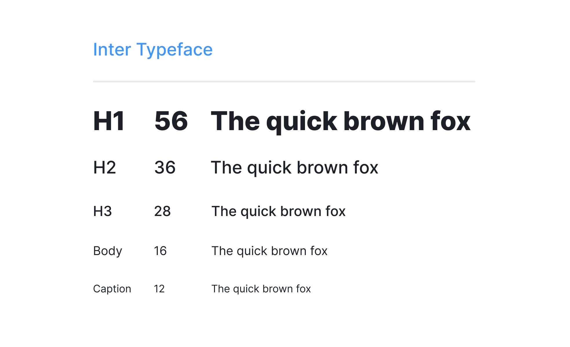 Type System