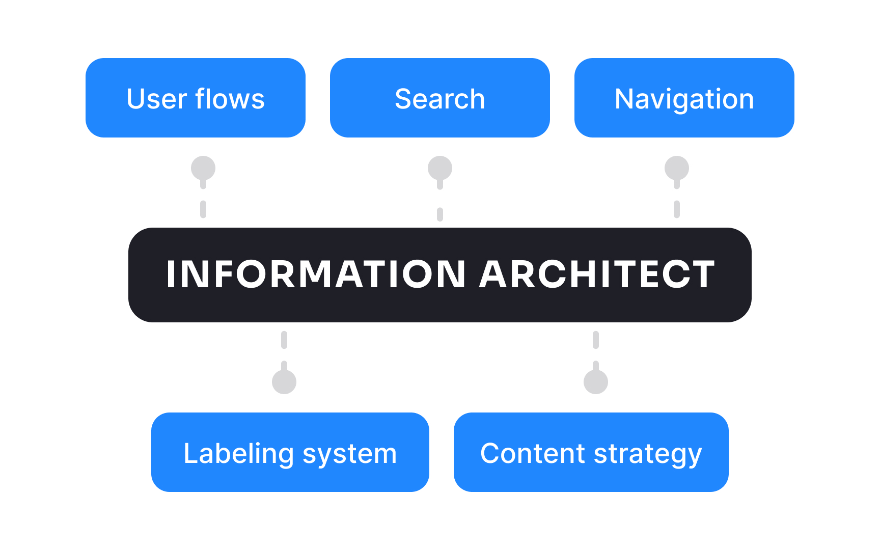 Information architect