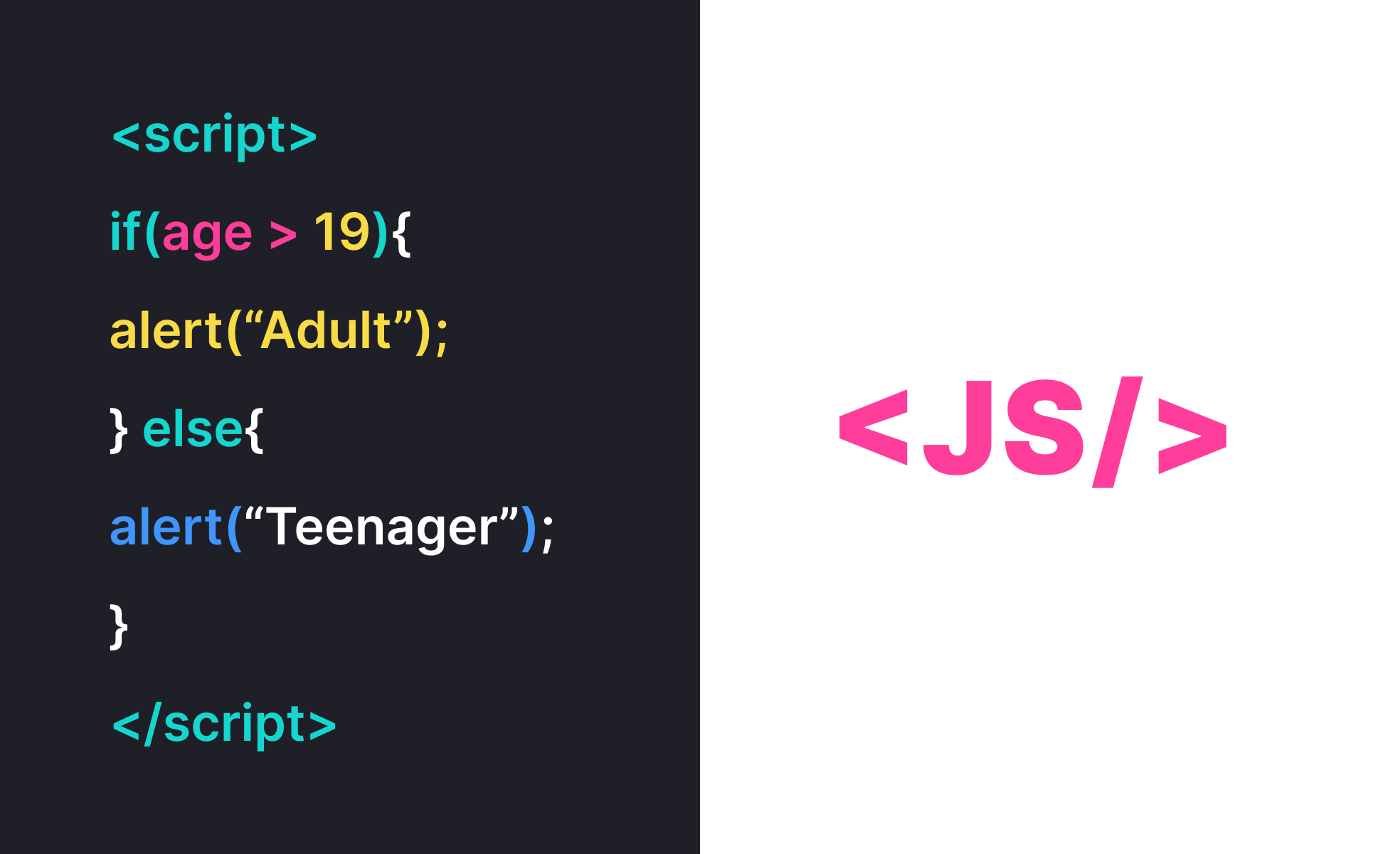 JavaScript (JS)