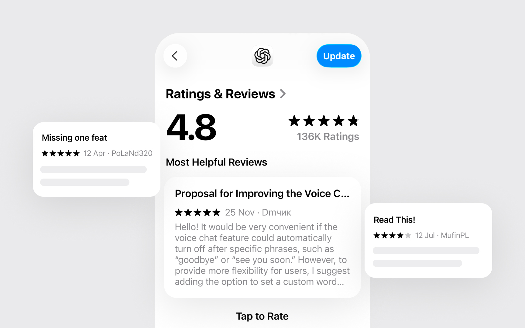 Customer review mining
