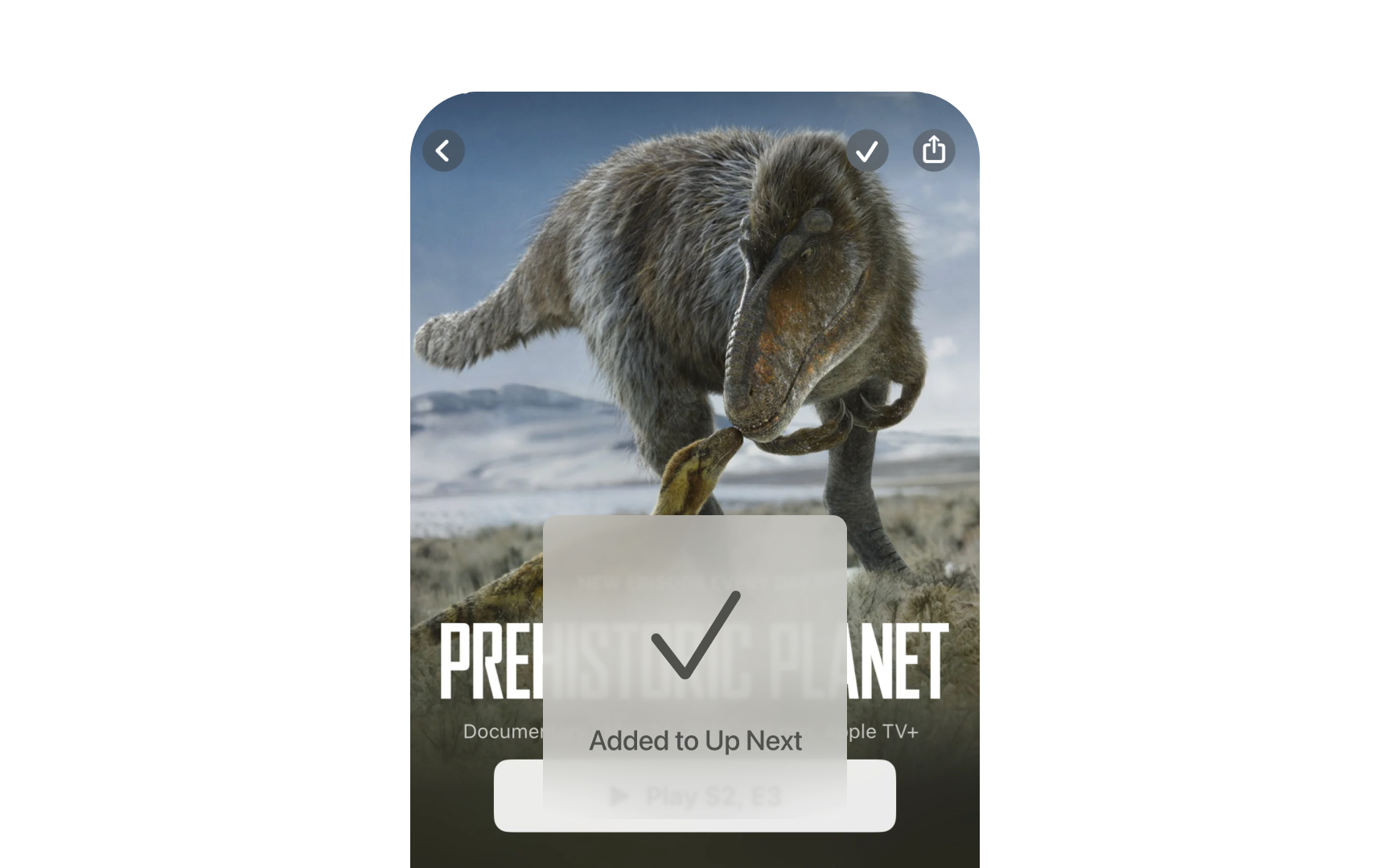 Transparency rules Bad Practice