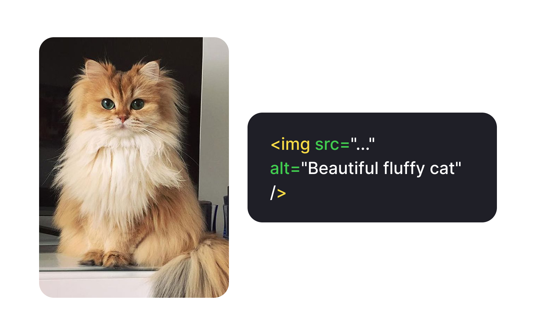 Use accurate alternative text Bad Practice