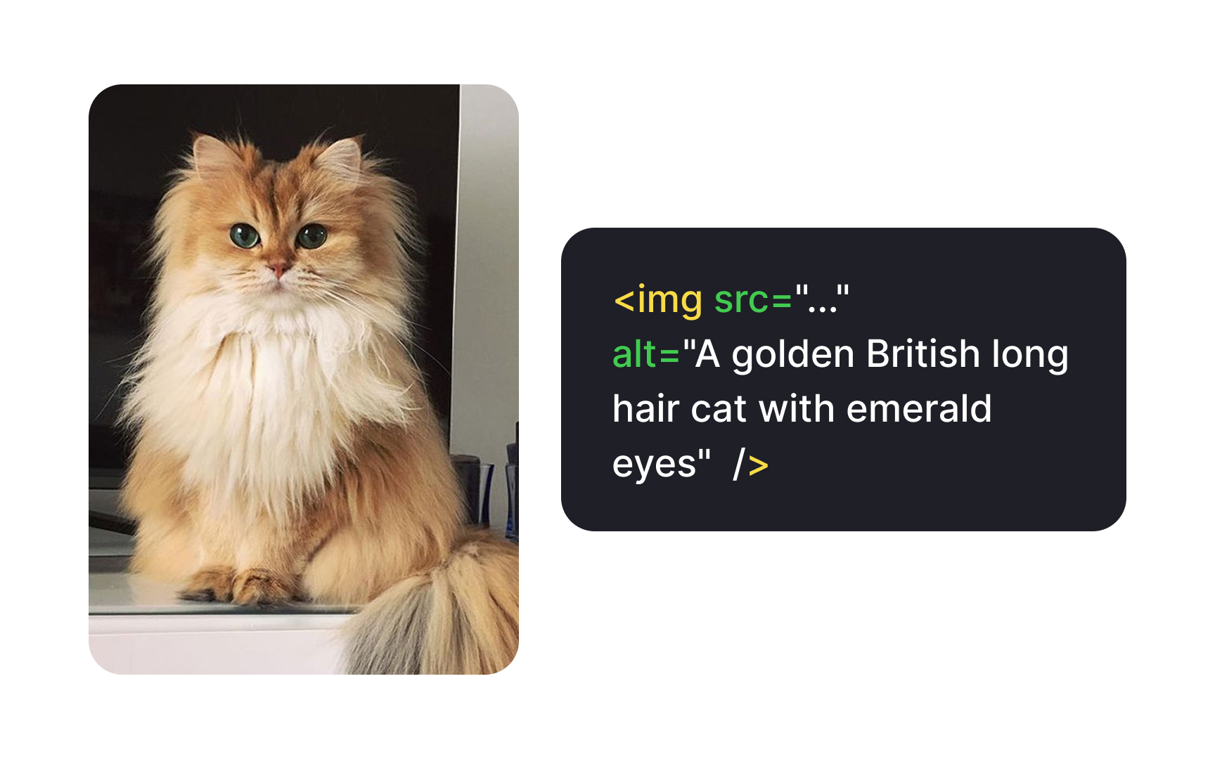 Use accurate alternative text Best Practice