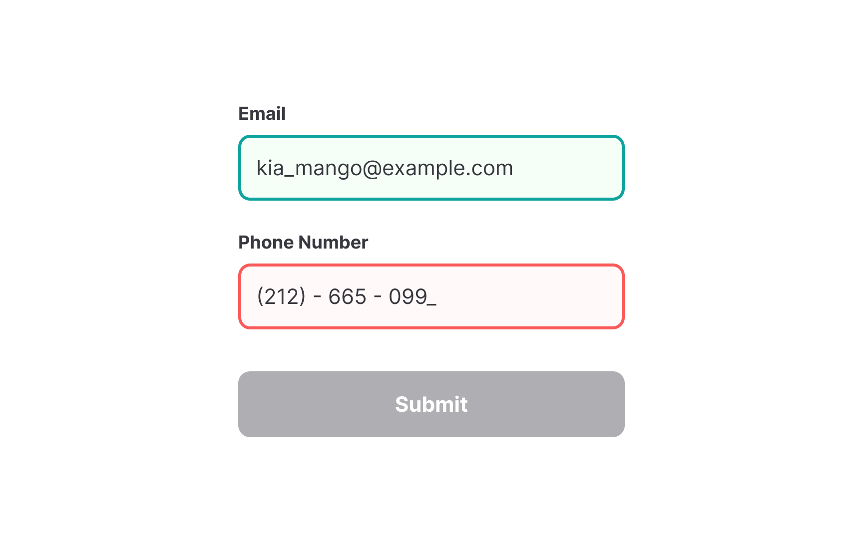Use multiple cues for accessible inputs Bad Practice