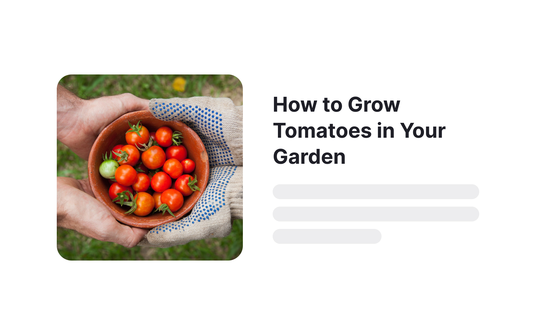 Information scent Best Practice