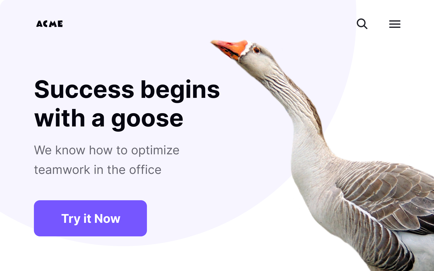 3-Point composition Best Practice