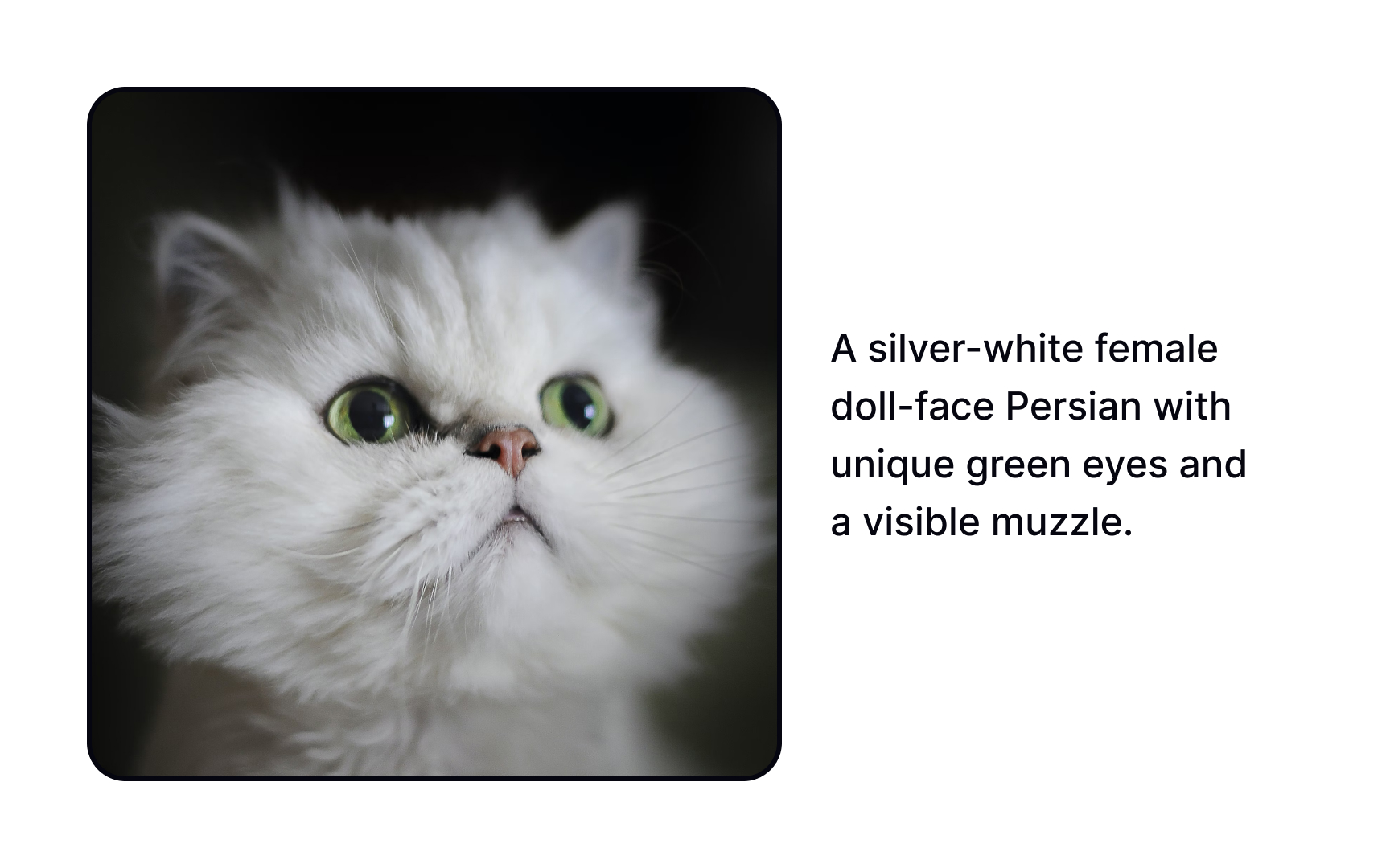 Caption accessibility