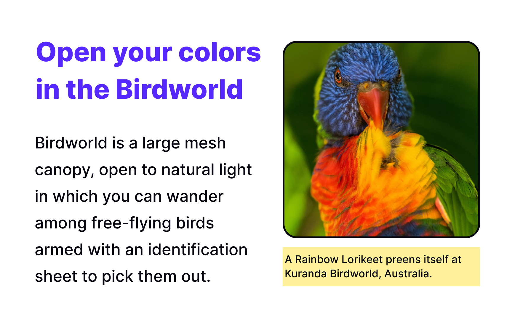 Caption placement Best Practice