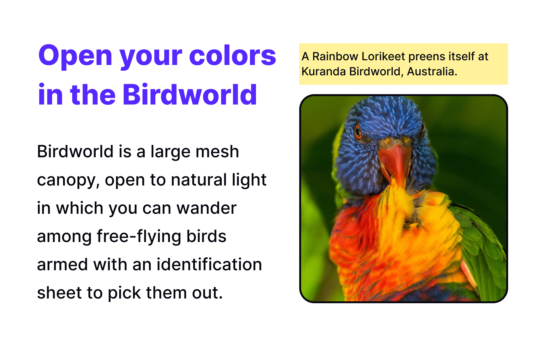 Caption placement Bad Practice