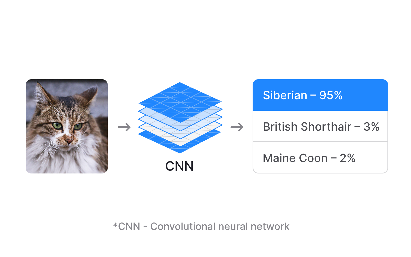 Convolutional neural network (CNN)