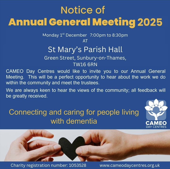 Article Single Image