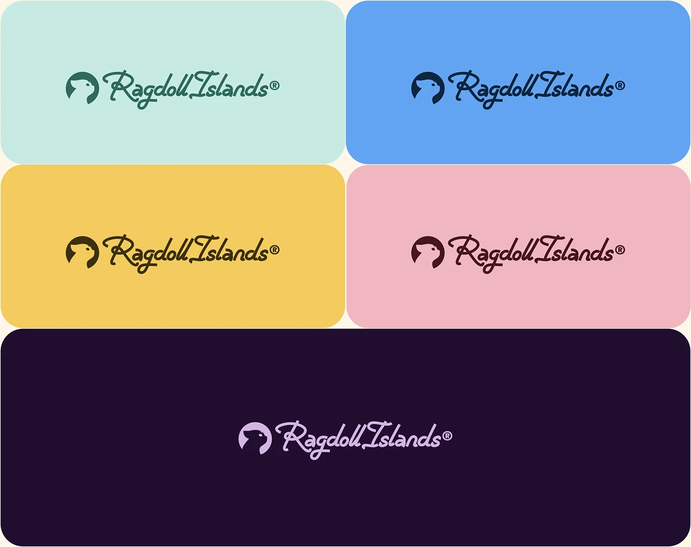 Website Web Web Design  Website Design Webdesign Pet animation  motion design motion Cat