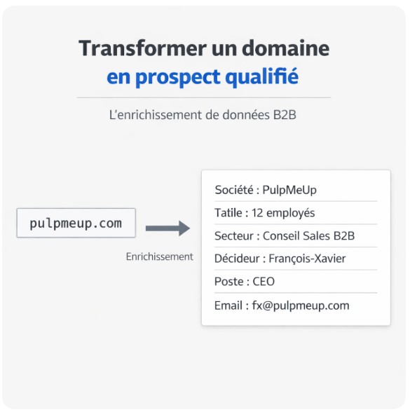 Le Guide de l'Enrichissement de Données B2B