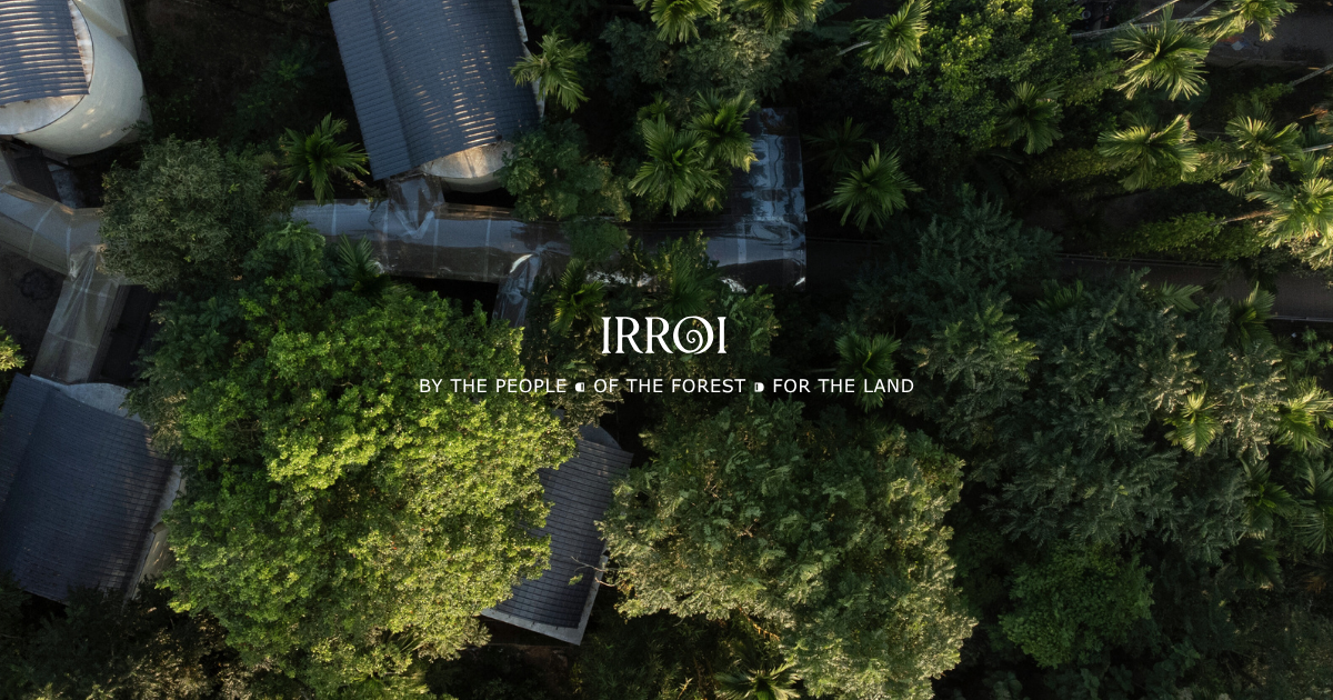 Kaziranga grasslands at dawn