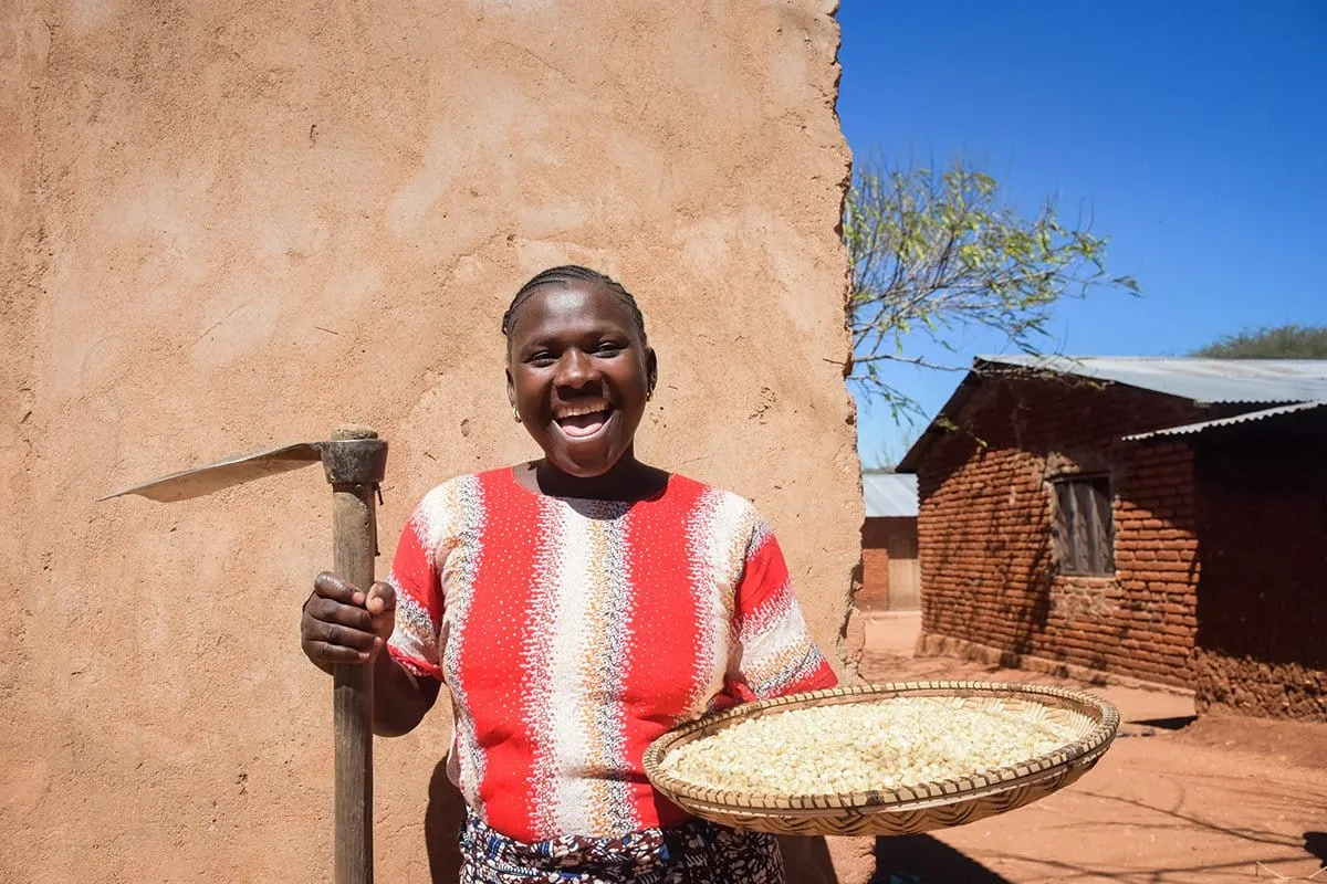 Spelansia-Mgidula-Maize.original