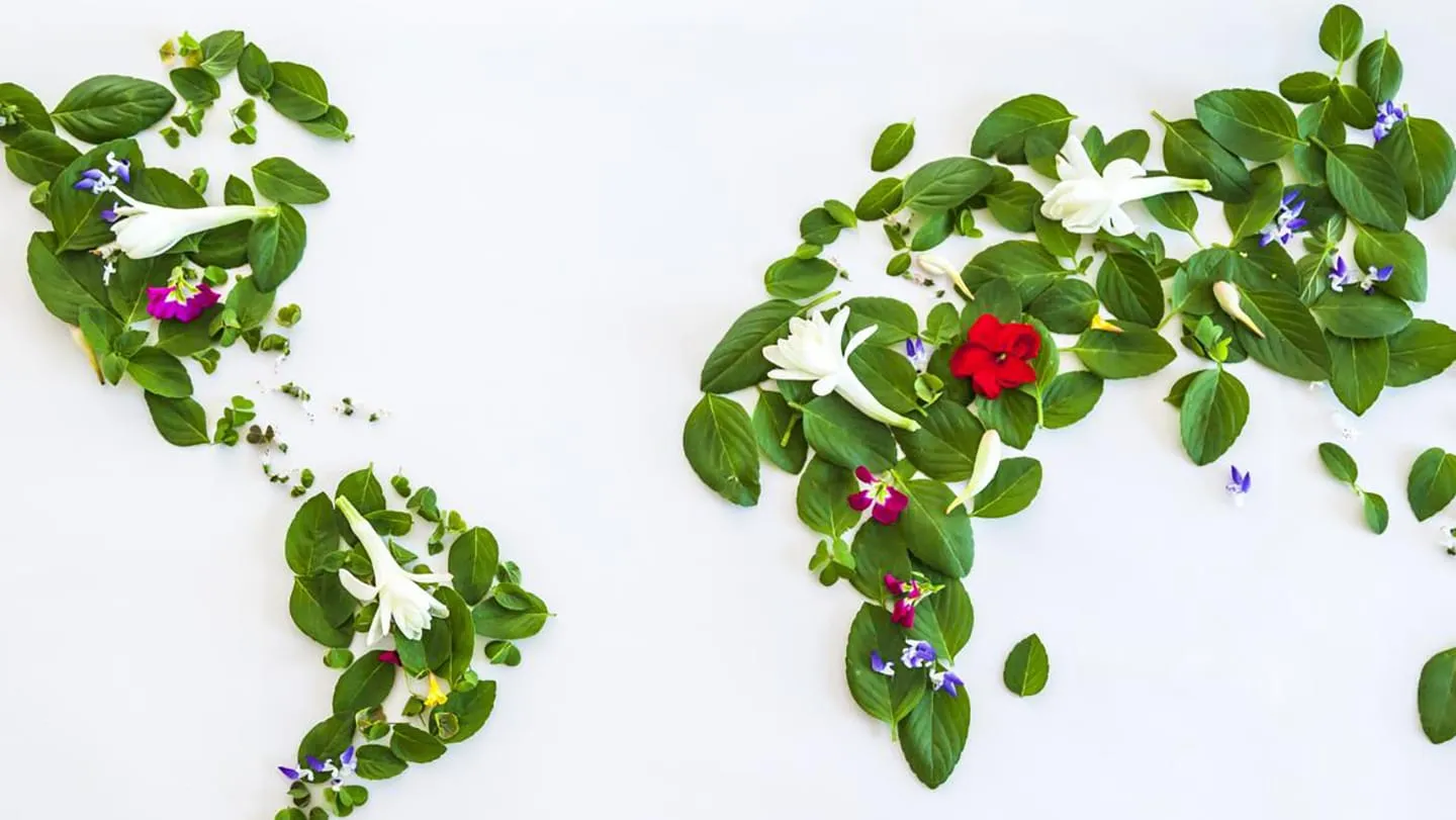 Salk Institute for Biological Studies banner image