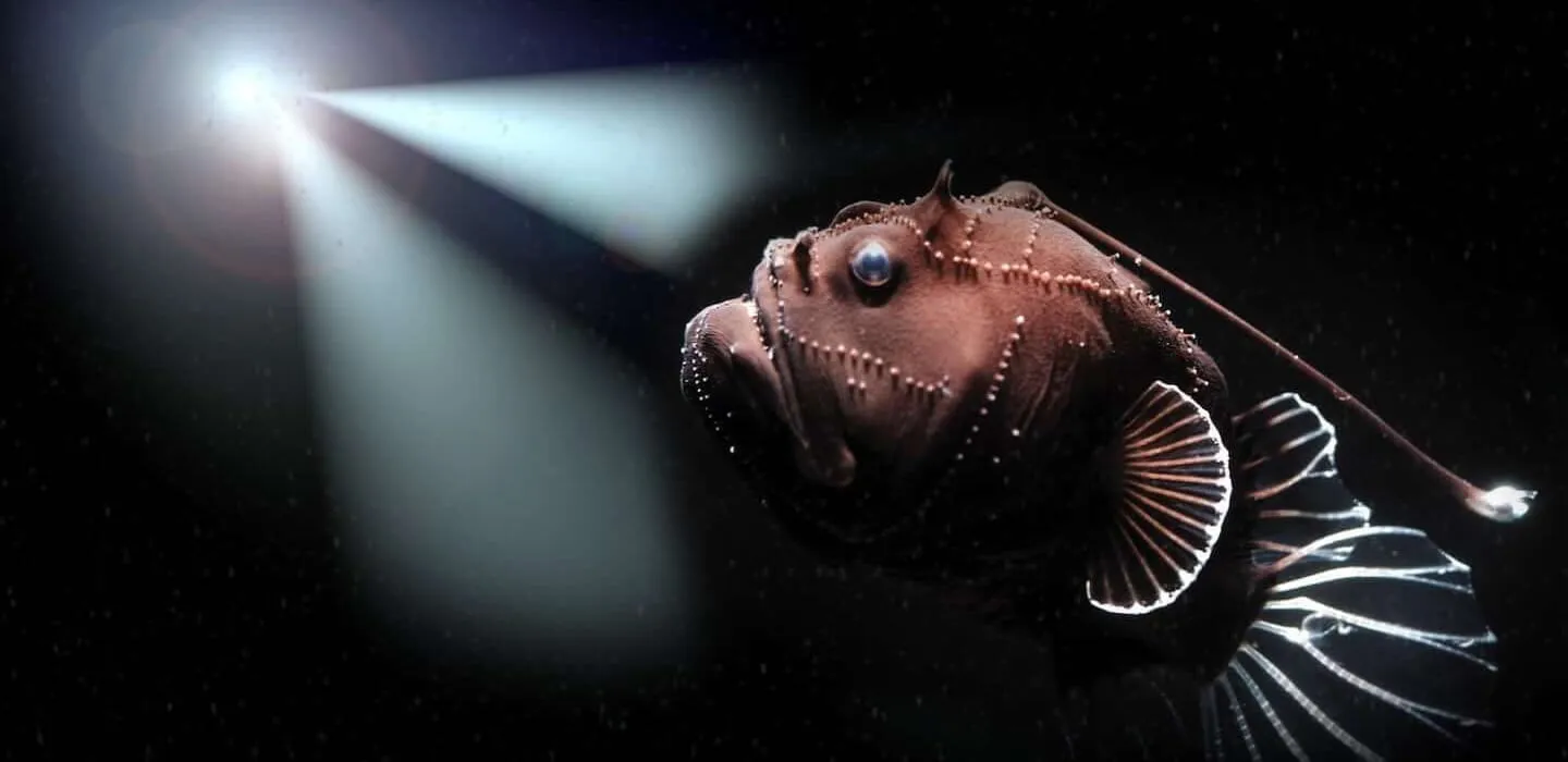 woods-hole-oceanographic-institution