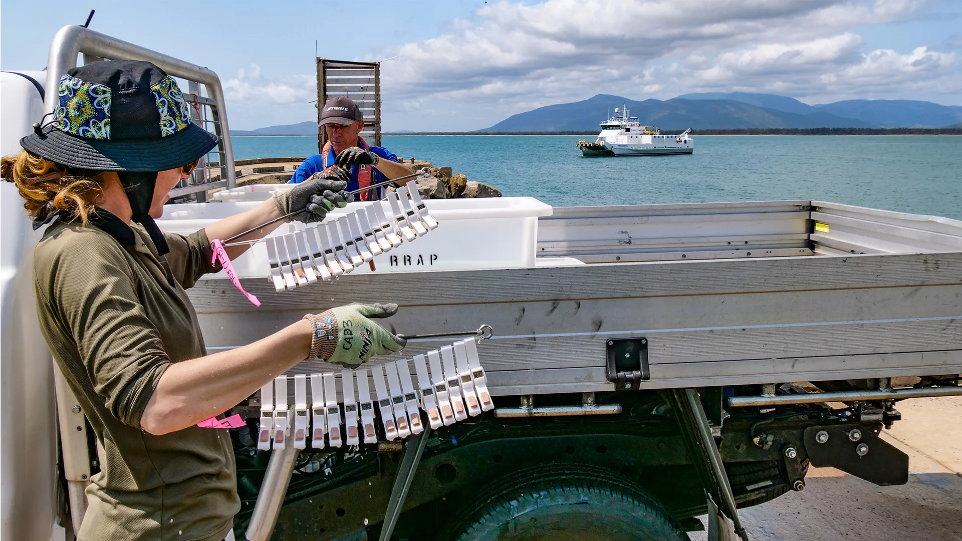 People unpacking tool to restore coral reefs on beachside
