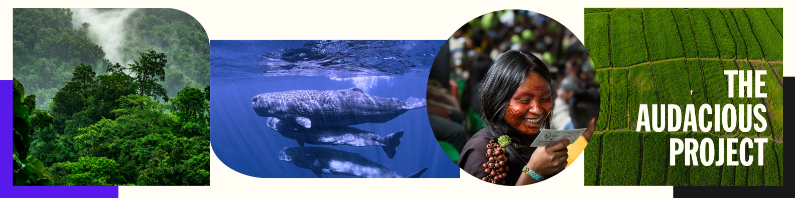 Banner of Audacious Project 