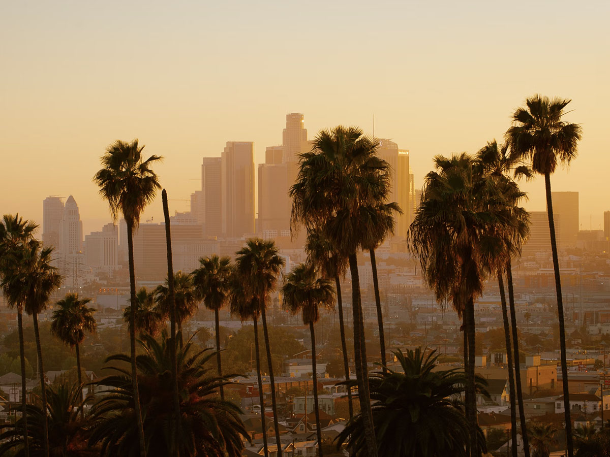 University of California, Los Angeles (UCLA)