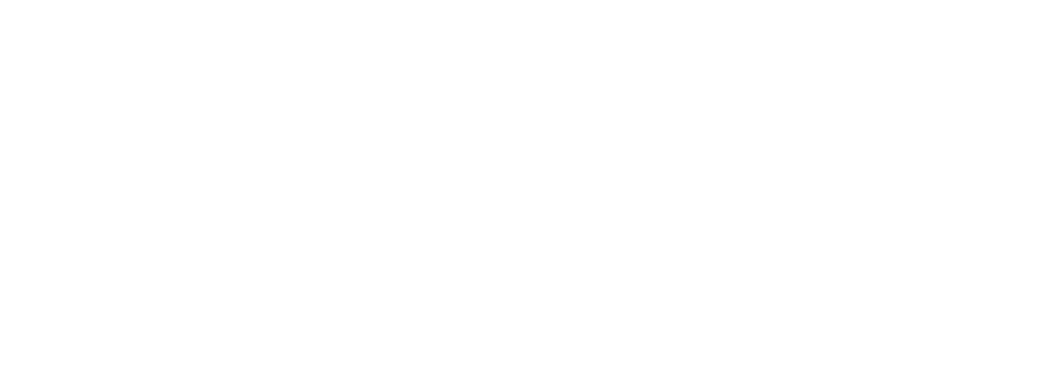 Ting Internet logo