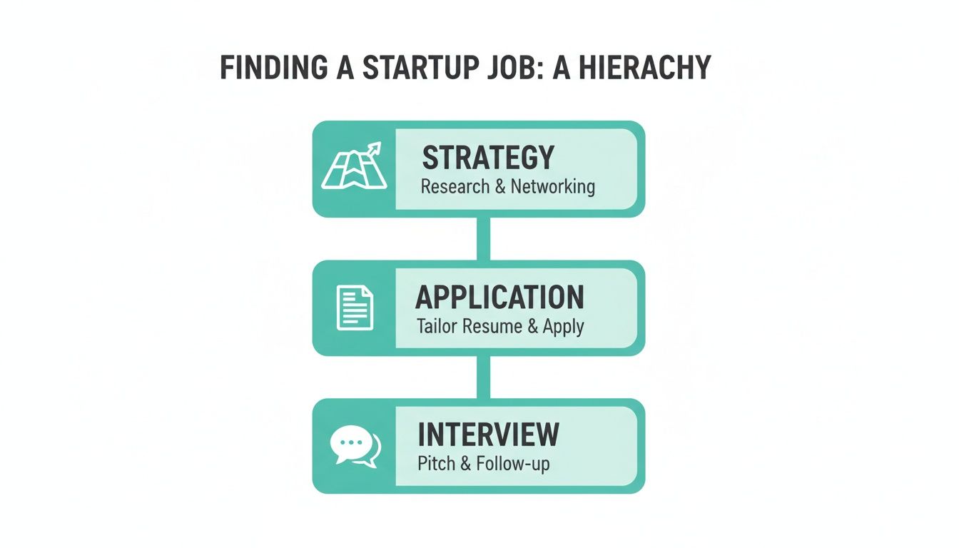 Flowchart detailing the three hierarchical steps to finding a startup job: strategy, application, and interview.