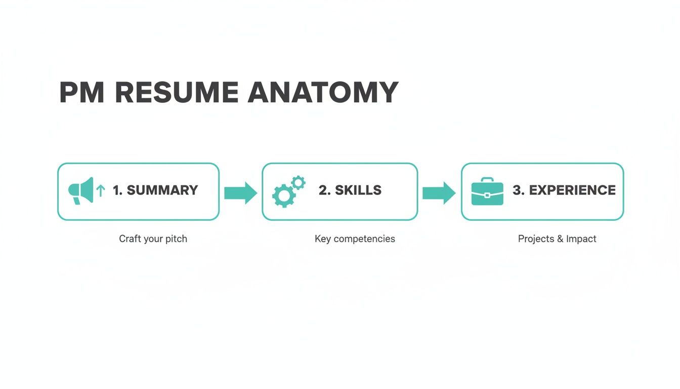 Flowchart illustrating the anatomy of a PM resume with Summary, Skills, and Experience sections.
