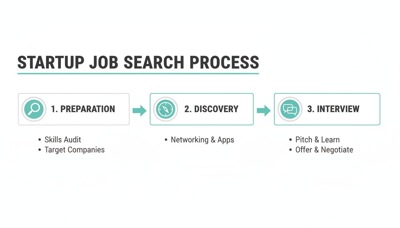 An infographic illustrating the startup job search process, divided into preparation, discovery, and interview stages.