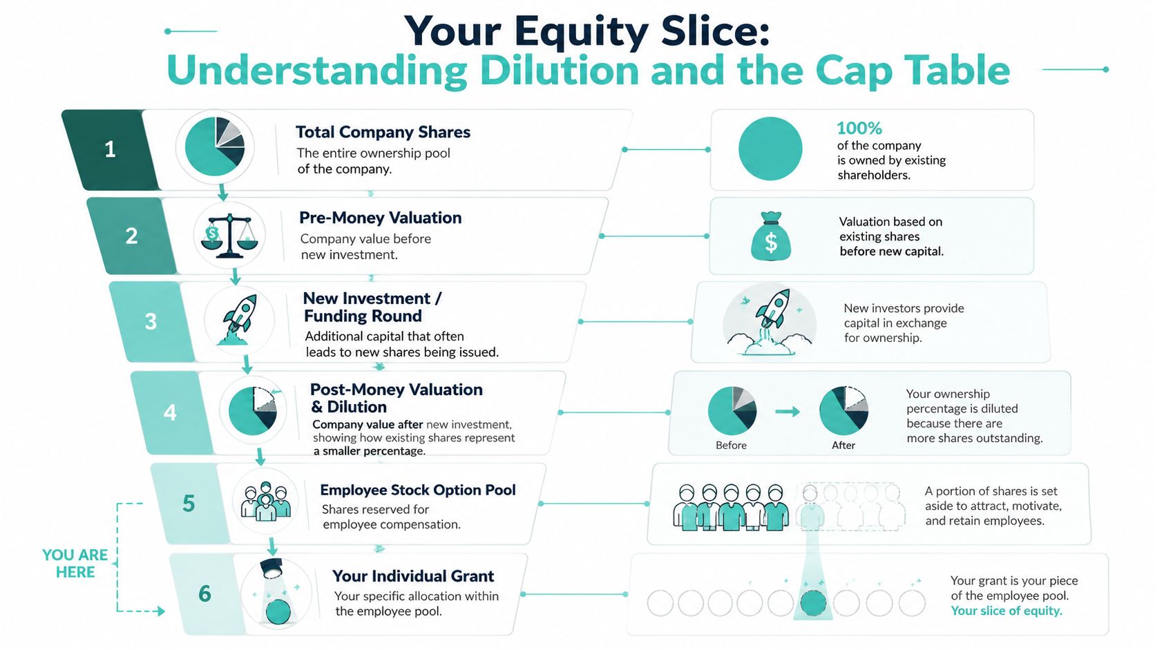 A diagram illustrating the equity dilution process and how employee stock options fit into a company's capitalization table.