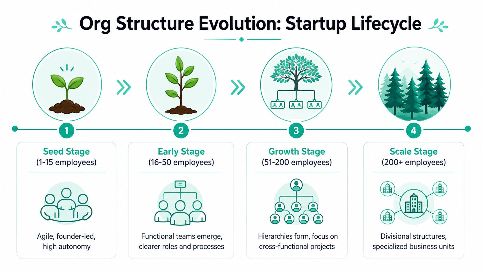 A diagram illustrating the evolution of organizational structure across four startup lifecycle stages from seed to scale.