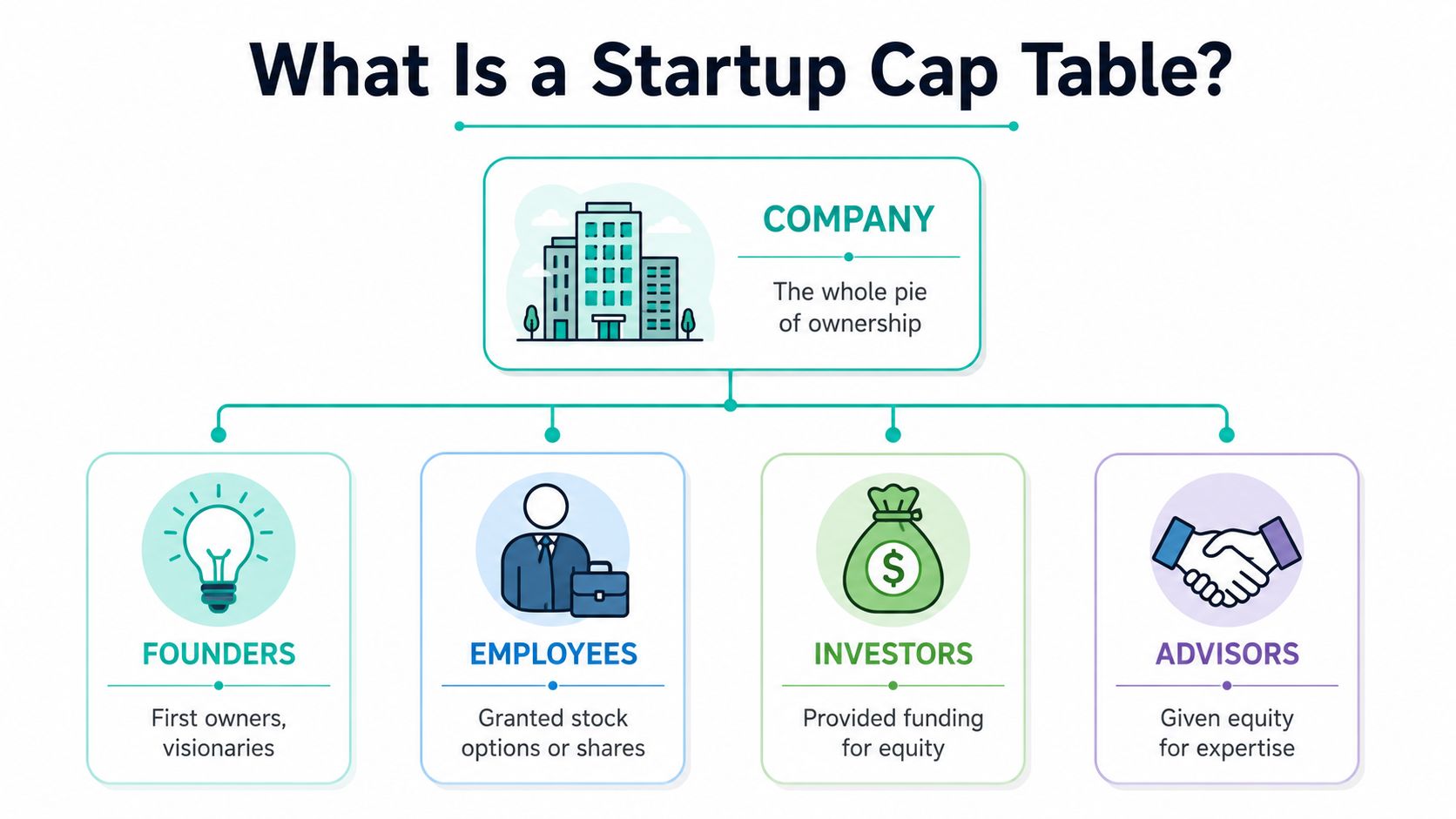 A diagram illustrating a startup cap table showing how ownership is divided among founders, employees, investors, and advisors.