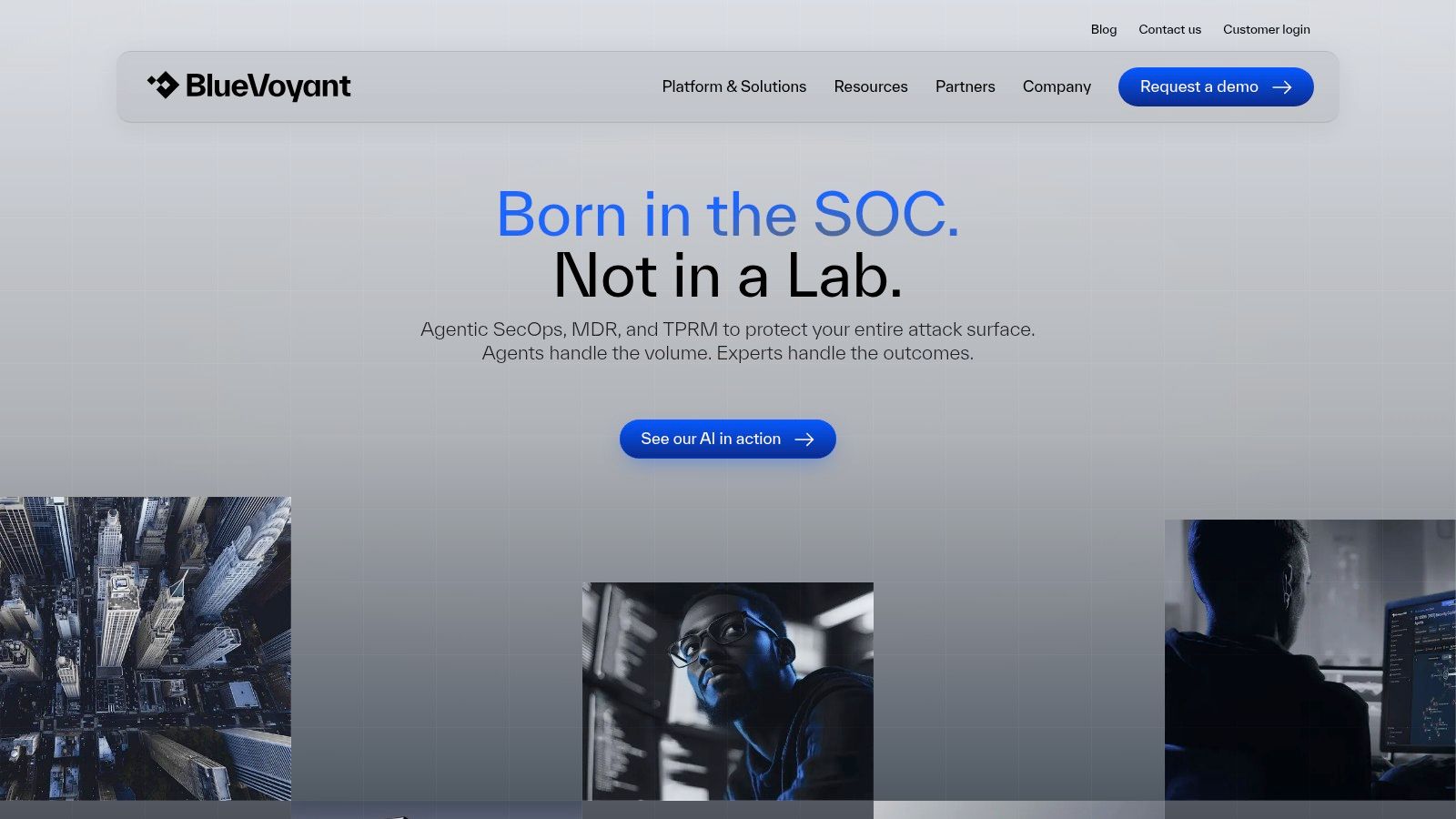 BlueVoyant