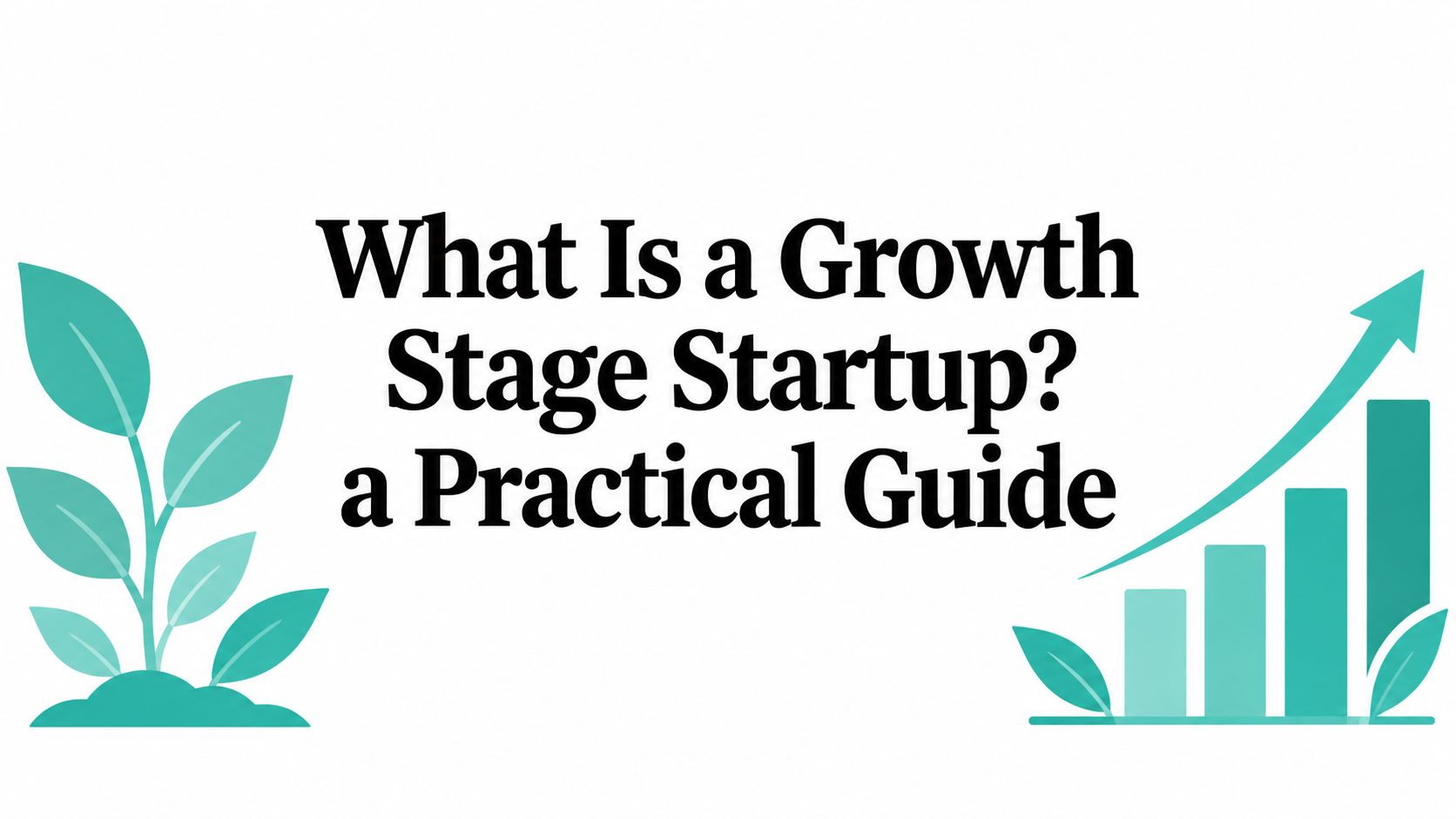 What Is a Growth Stage Startup? a Practical Guide