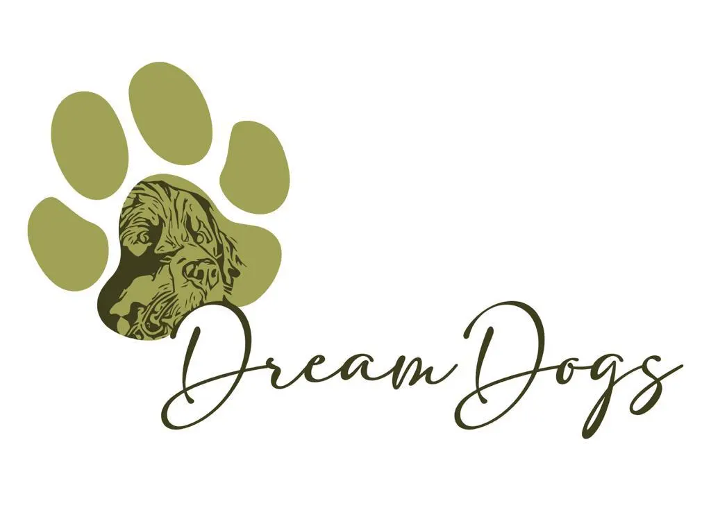 Dream Dogs