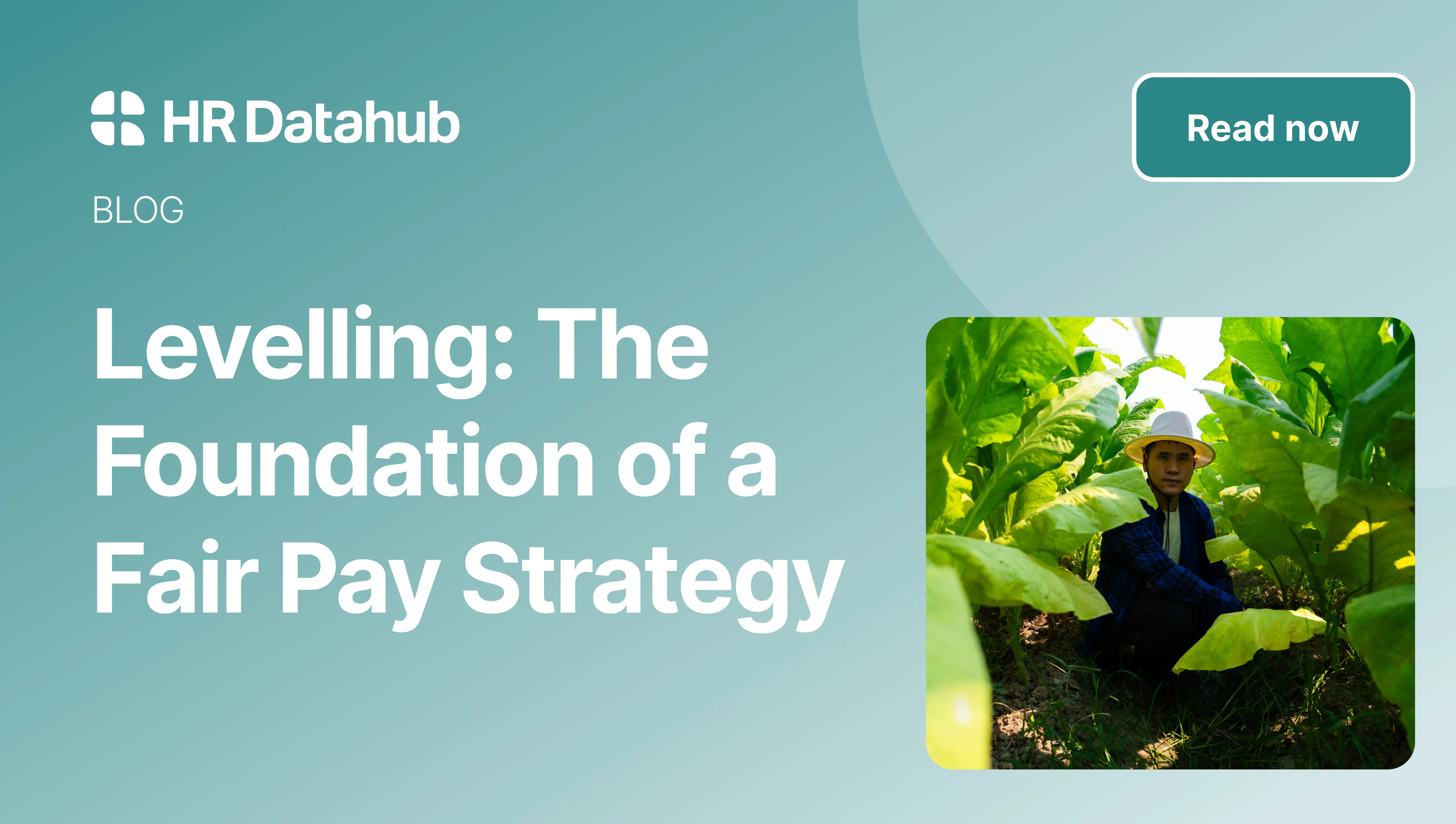 Job Levelling: The Foundation of a Fair Pay Strategy