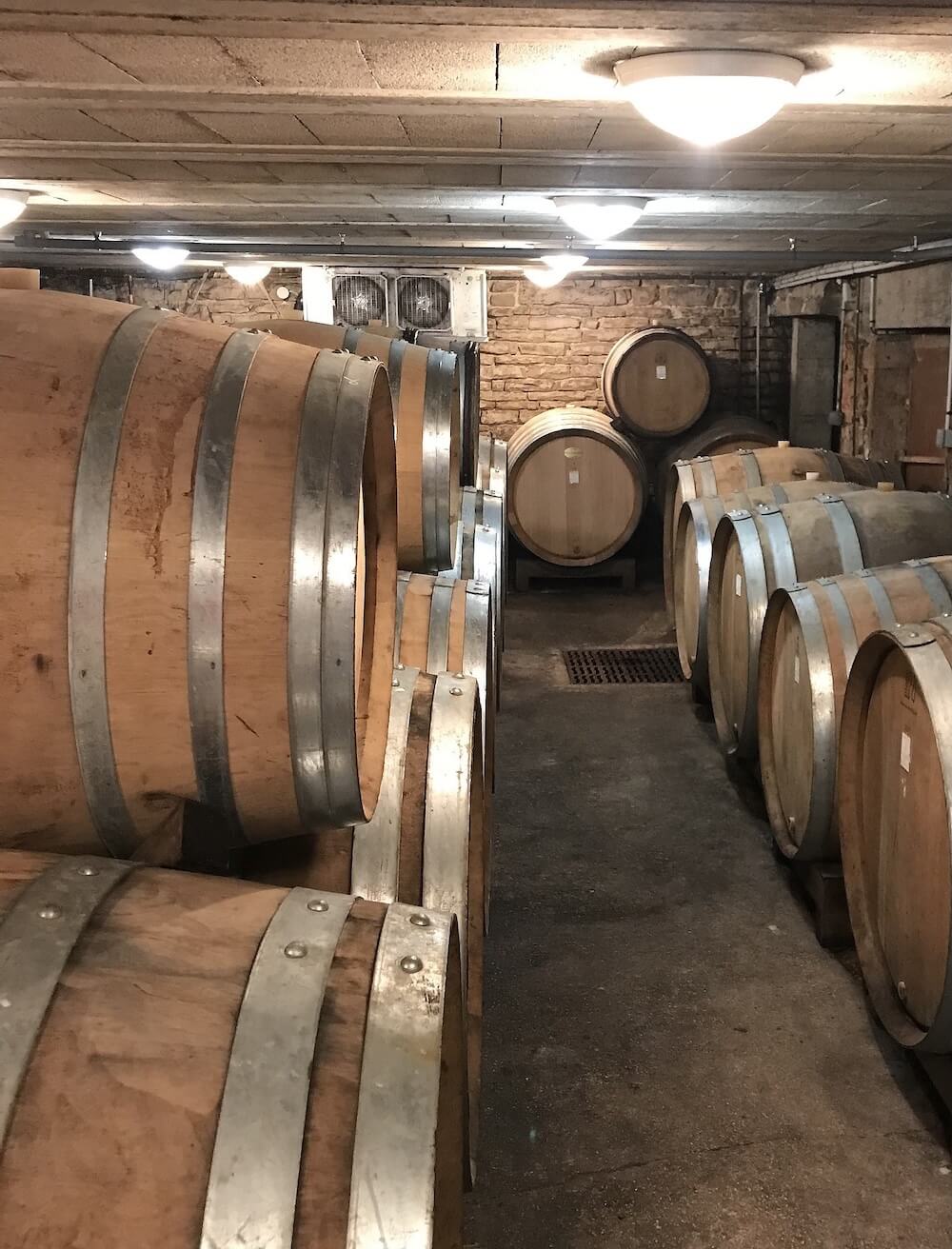 Die 16 Hektar der Domaine werden von Laurent Fournier, dem Sohn von Jean Fournier, gepflegt. Er hat die Weinberge 2004 auf biologischen Anbau umgestellt.