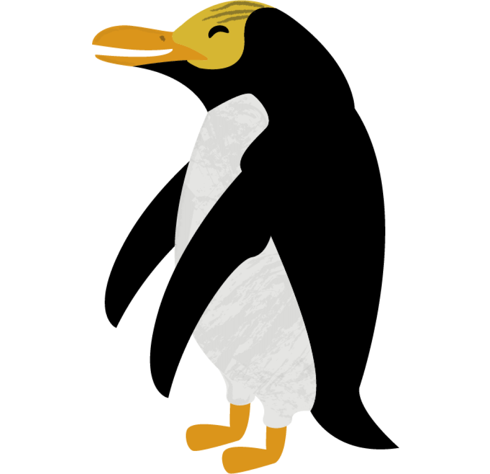 Yellow eyed penguin (Hoiho) in the grass along the coast