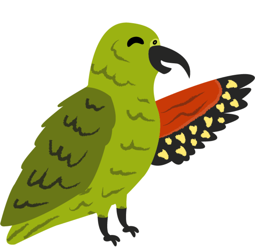 Kea bird walking along rocks in the mountains