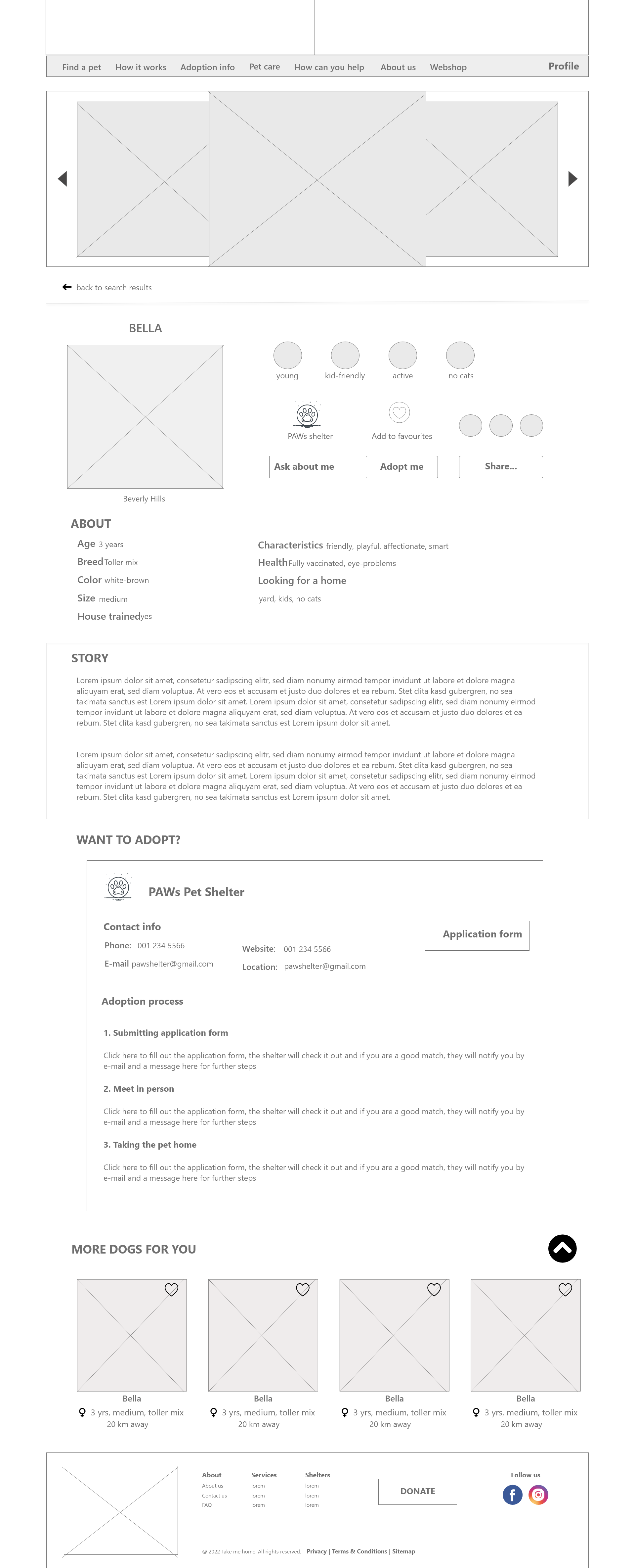 pet profile page low-fi wireframe