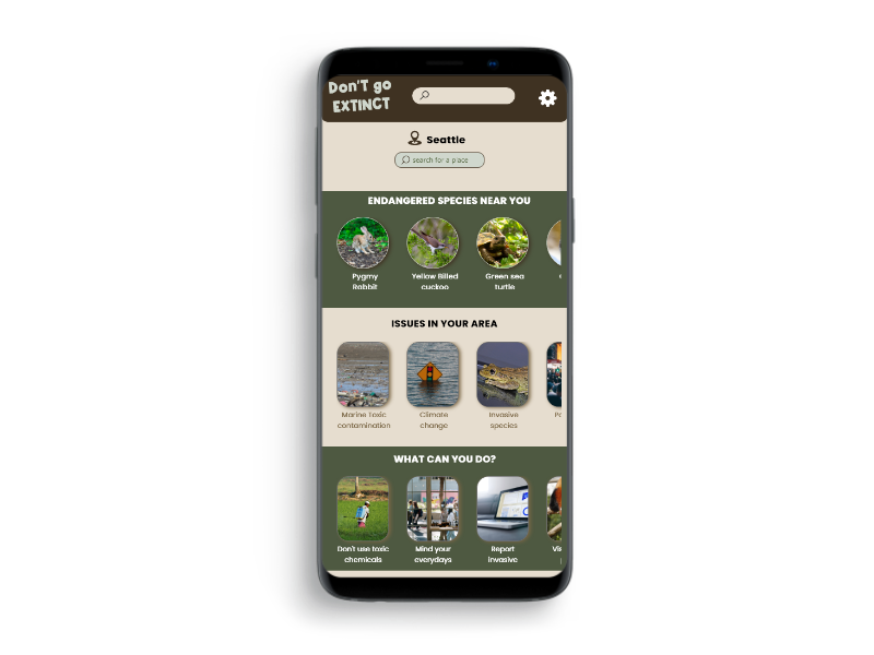 local news screen mockup