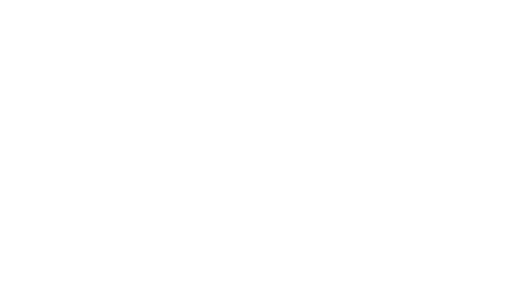 WBENC Certified Women Owned Business