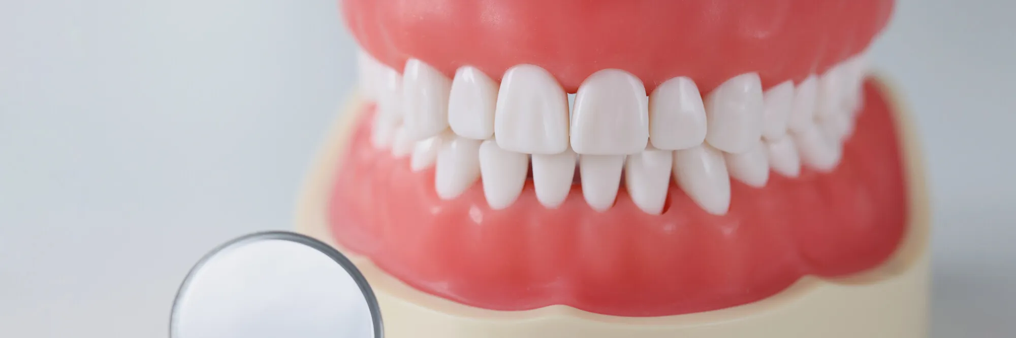 cosmetic dentistry orlando model