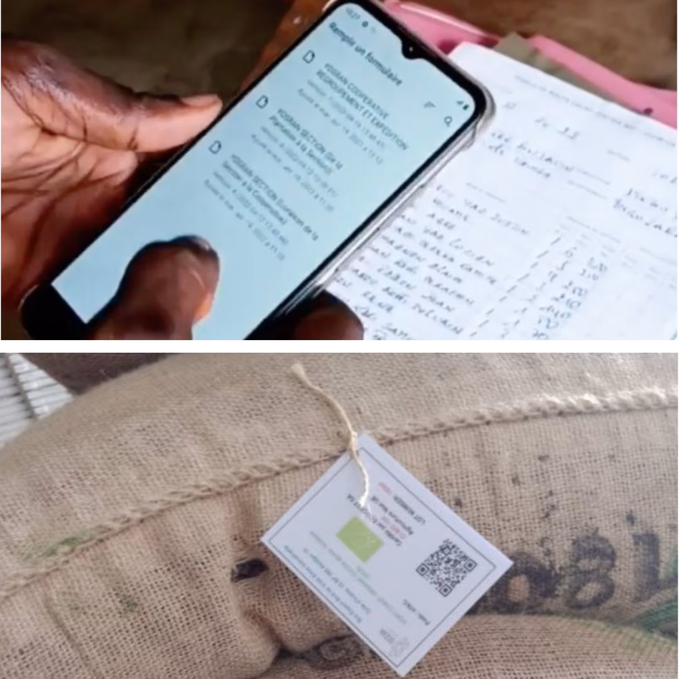 Credit card mockups